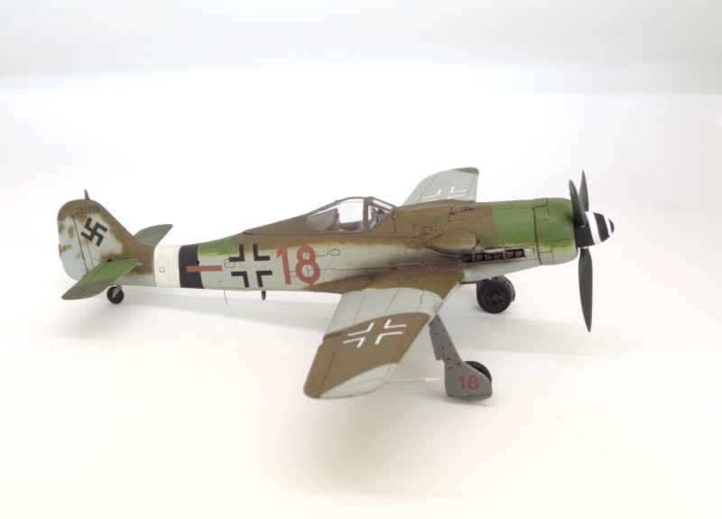 Focke Wulf FW.190D-9 - Tamiya - 1/72 Dsc07726