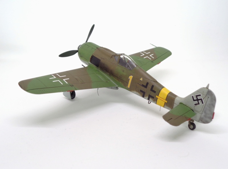 [Kora] 1/72 - Focke-Wulf Fw 190 A-9  (fw190)  Dsc08217