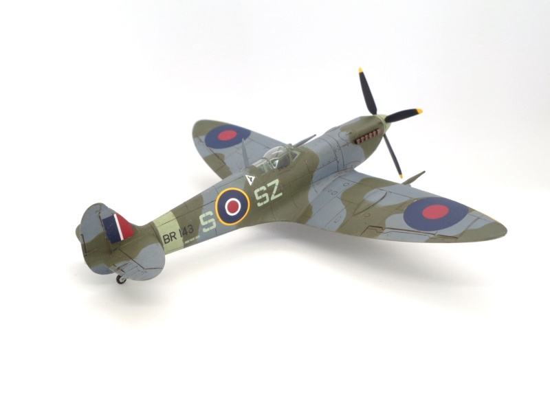 [CMR] 1/72 - Supermarine Spitfire F.IX - RR Conversion - 316 sq RAF Dsc08321