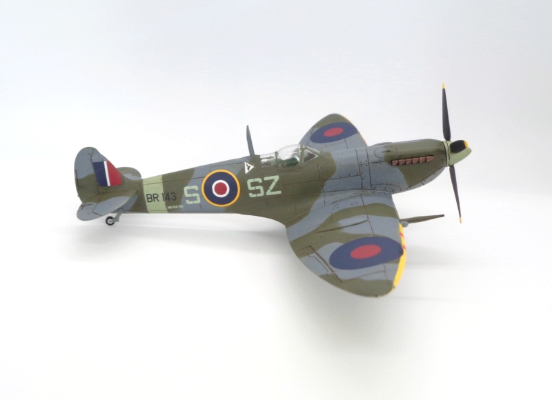 [CMR] 1/72 - Supermarine Spitfire F.IX - RR Conversion - 316 sq RAF Dsc08323