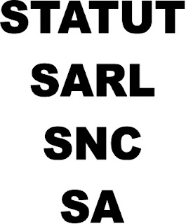 Statut sarl Statut10