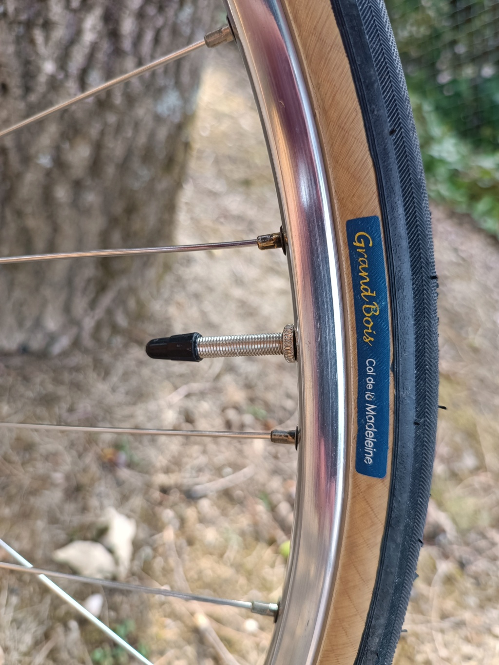 Vélo artisanal bleu en Columbus monté en campa nuovo / super record (restauration terminée) Img_2580