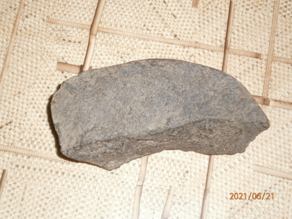 Как отличить метеорит от камня P6210124