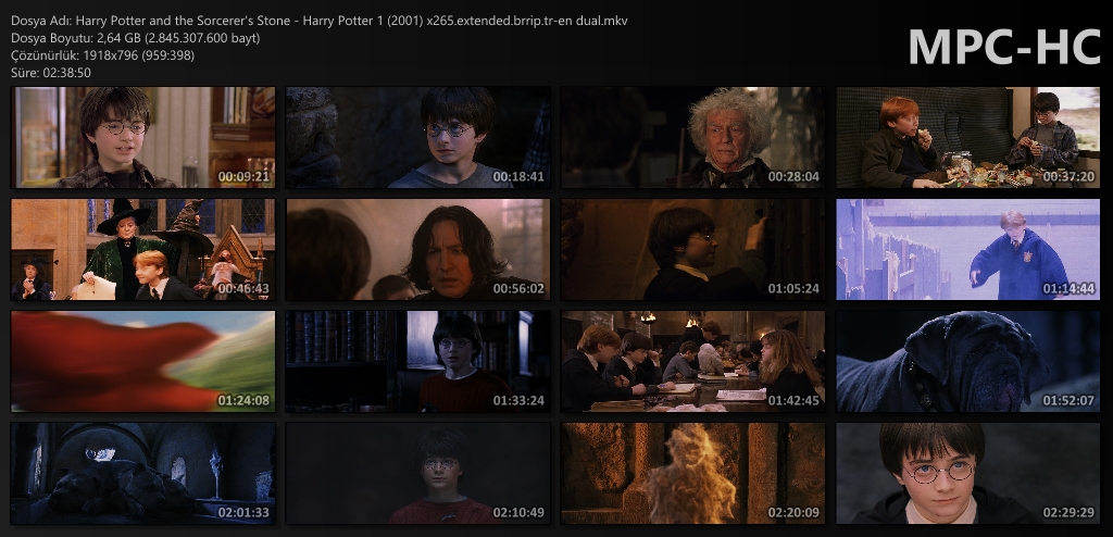 Harry Potter 1 - Harry Potter and the Sorcerer's Stone (2001) 1080p.extended.brrip.tr-en dual Harry_12