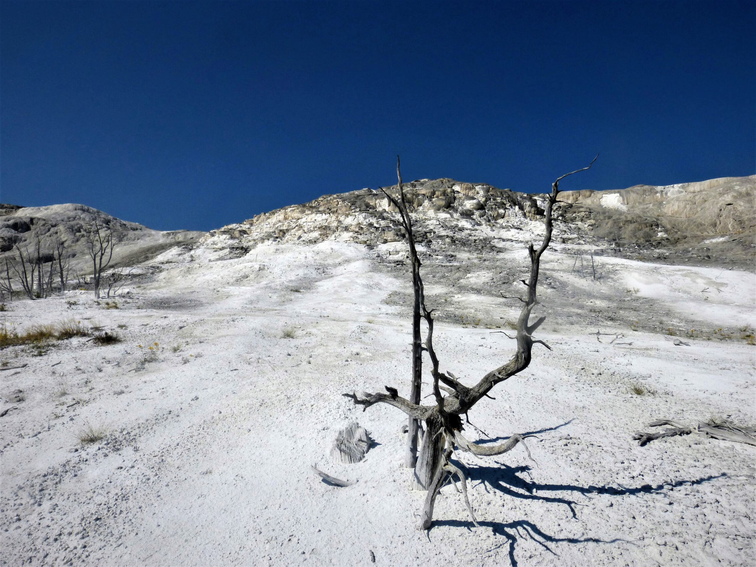 La discussion pour le concours photo de janvier 2023: le blanc - Page 2 P1180011