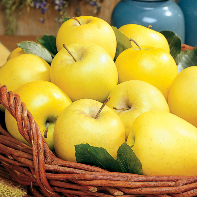 Health Benefits of Apples Downlo10