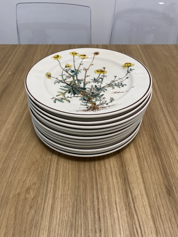 Recherche sur Assiettes Villeroy & Boch Bf6a7410