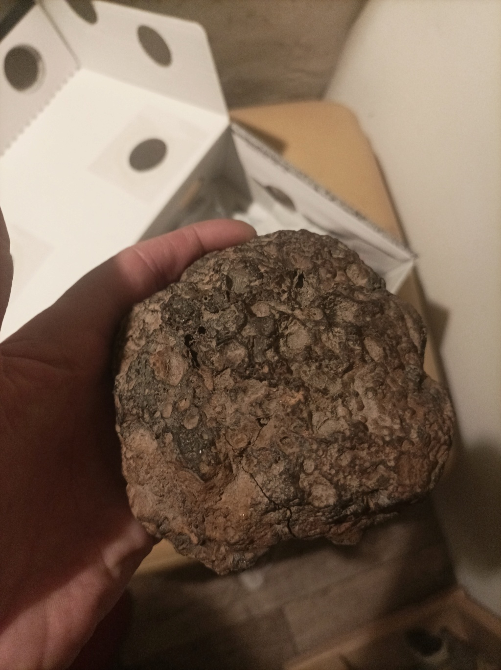 la passion des météorites 17050011