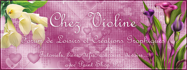 Chez Violine - Forum de Loisirs et Créations Graphiques Ban22010