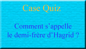 Les quizs. Casequ13