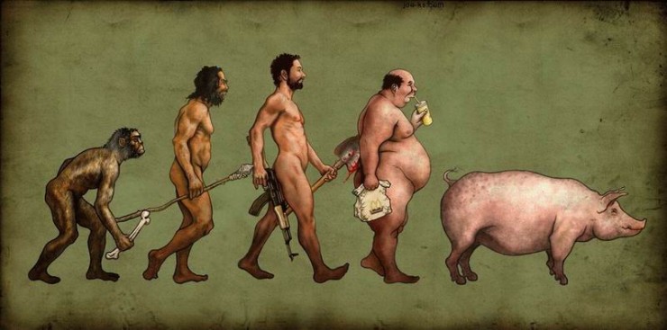 Evolution de l'homme Evolut11