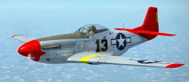 Skins P-51 20191031