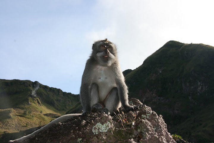 Les Volcans de Bali Batur_16