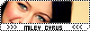 // Miley's Art // Bouton11