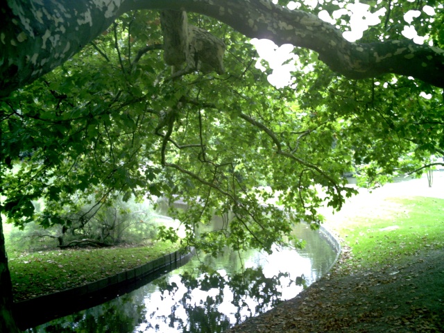 beautés de gaia Parc_b11