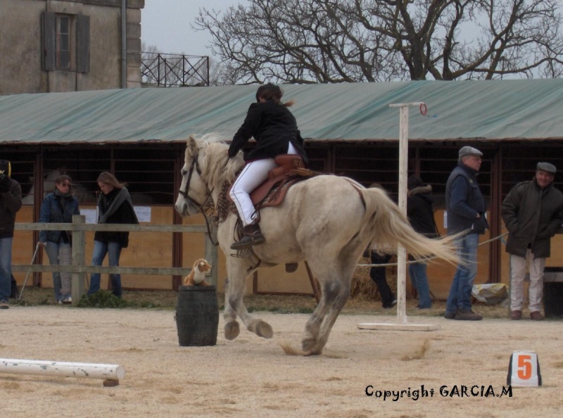 Concours équitation Camargue Camagr13