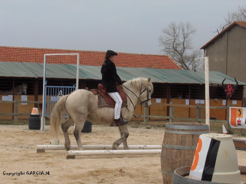 Concours équitation Camargue Camagr16