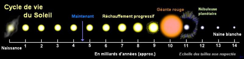 Le soleil --> HISTOIRE NATURELLE 800px-10