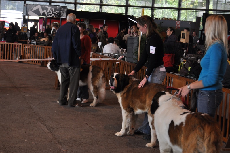 Expo de Cambrai Expo_c13