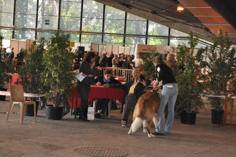 Expo de Cambrai Expo_c15