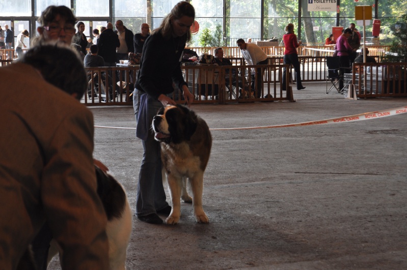 Expo de Cambrai Expo_c17