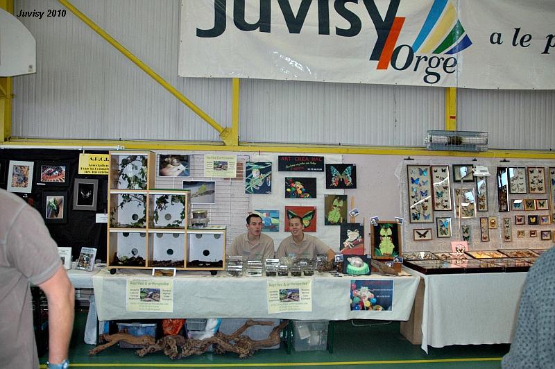 Bourse de Juvisy 2010 Juvisy10