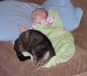 PET BABY SITTER! PRICELESS!!! 39578_10