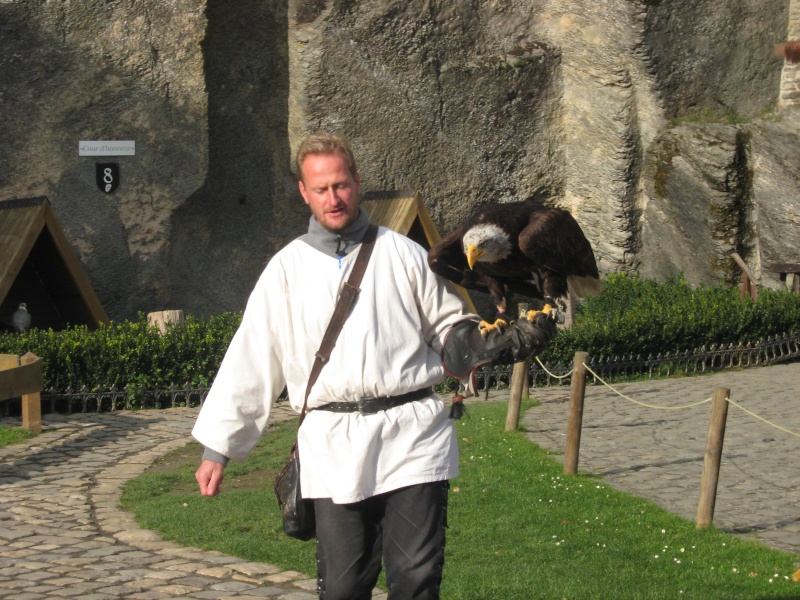 Spectacle d'oiseaux Img_5714