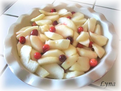 Croustade aux pommes et canneberges Croust10
