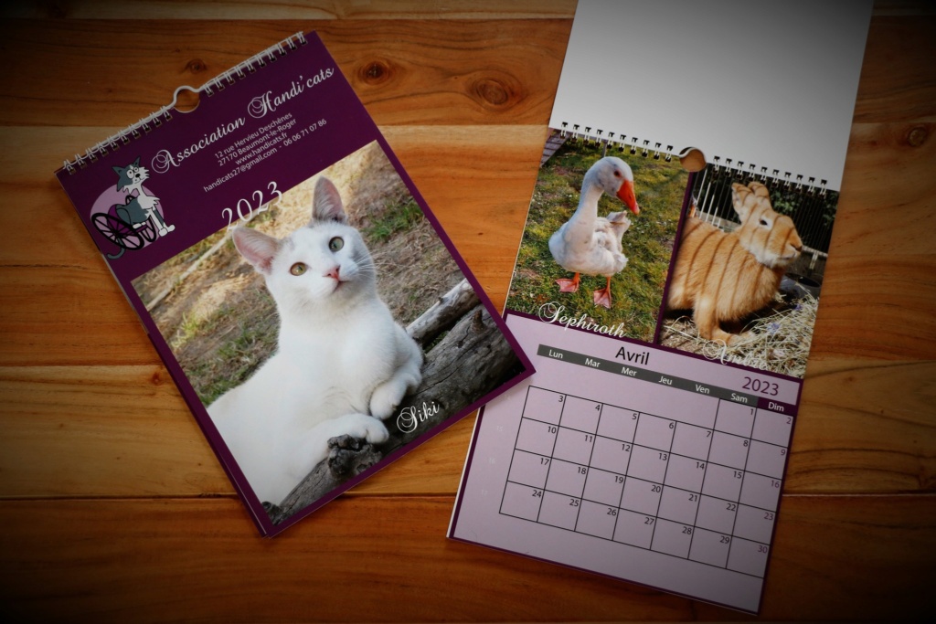 Les calendriers Handi'Cats 2023 sont là ! Cal12