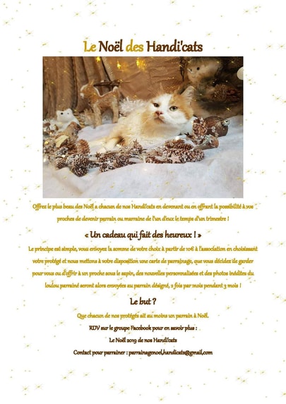 Le noël 2021 des Handi'Cats Noel10