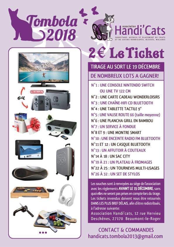 Tombola d'automne pour aider Handi'Cats Tombol10