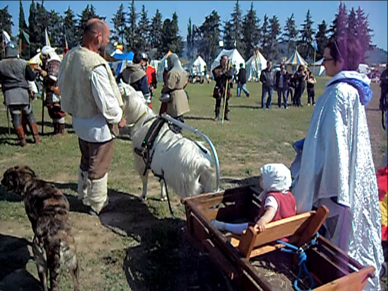 Mes fêtes médievales ! Cariol11