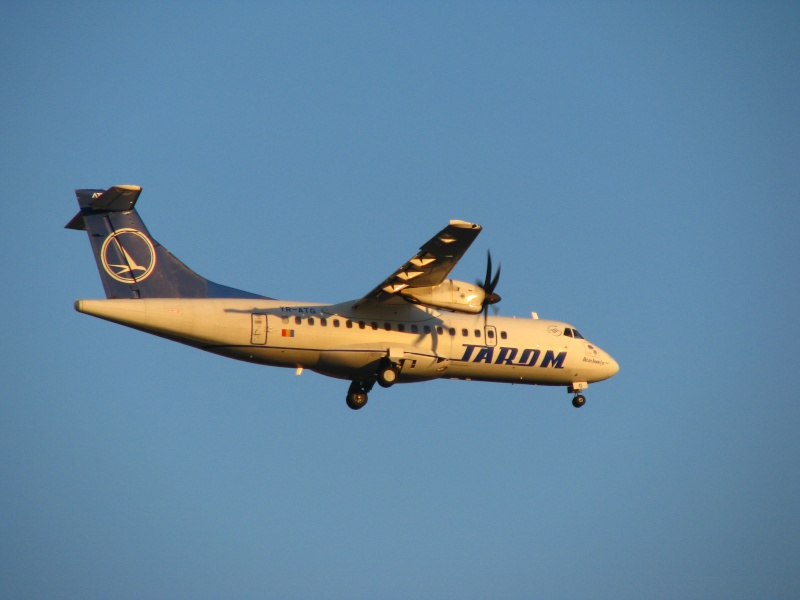 Aeroportul Oradea - Octombrie 2010 Pictur28