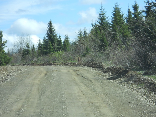 Retour après 4 jrs en Gaspésie Printe11