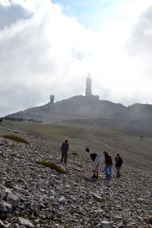 Davarre au Mont Ventoux - Page 2 318