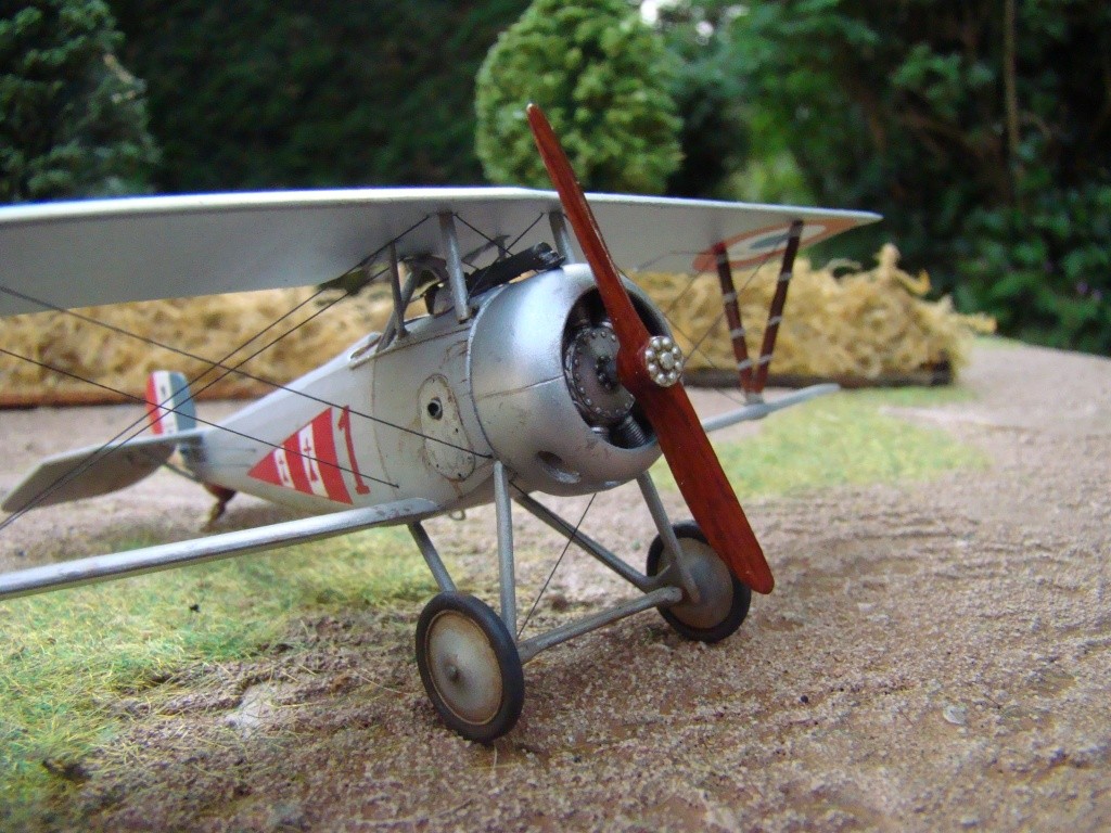 Nieuport 24bis Roden 1/72 Dsc04173