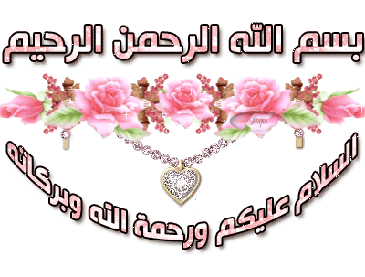 مشروع تربية ديدان الحرير (جدوى اقتصادية) Eoa_ca16