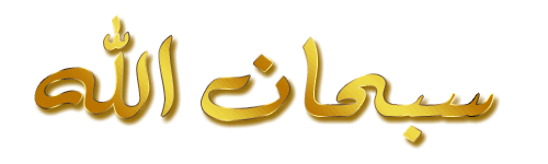 مشروع تربية ديدان الحرير (جدوى اقتصادية) Oeica_18
