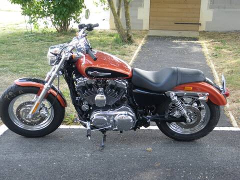 Sportster 1200 store custom 2011