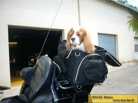 sacoche de transport pour chien