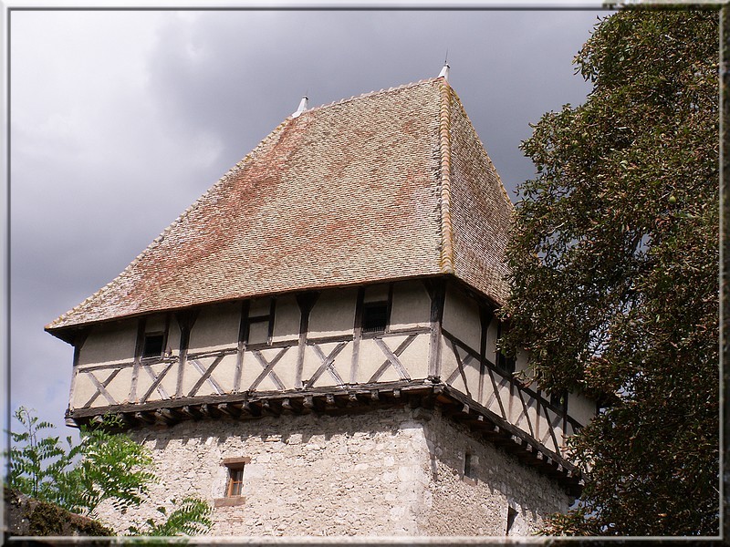 Balade en Val d'Allier. Photo_36