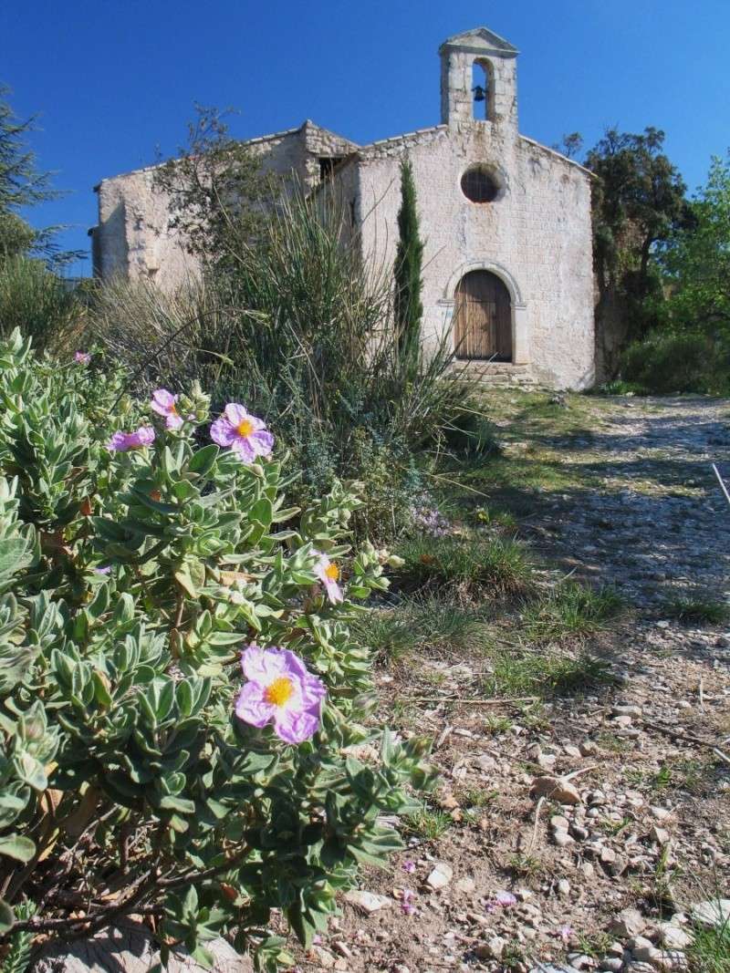 La famiile Nono déménage !!! 02411