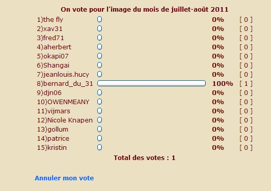 On vote pour l'image du mois de juillet-août  2011 Sans_t13