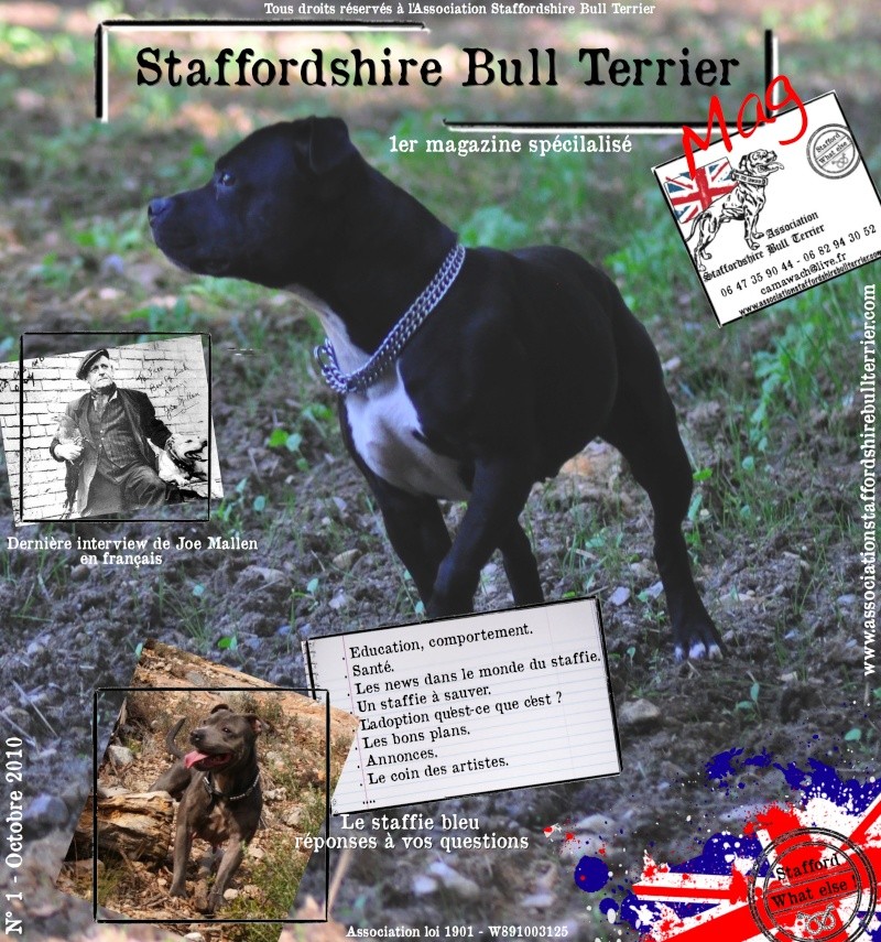 1 er Magazine spécialisé sur le Staffordshire Bull terrier en France - sortie le 05 Octobre 2010  Couver12