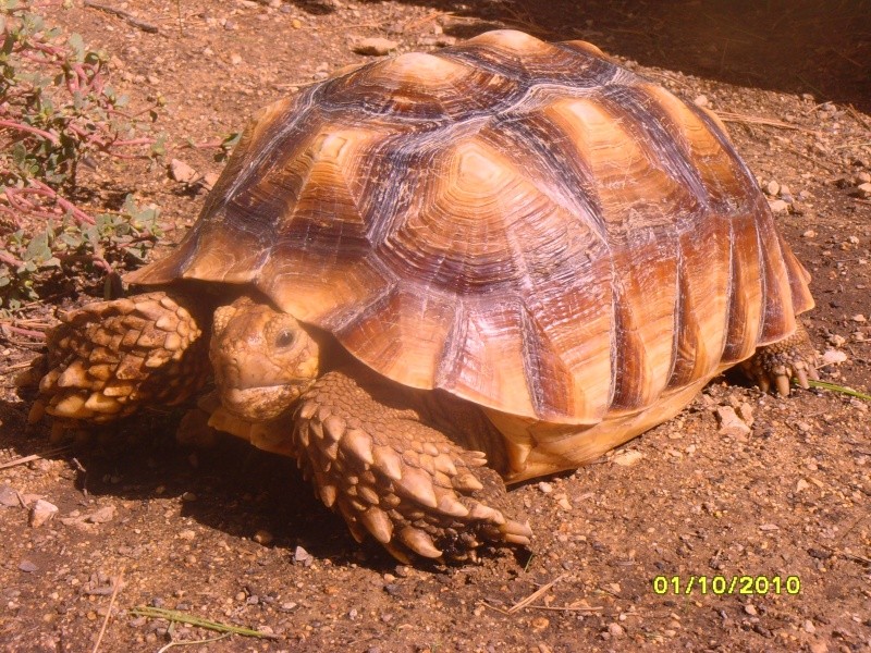 profite encore de ce beau soleil Snv32811