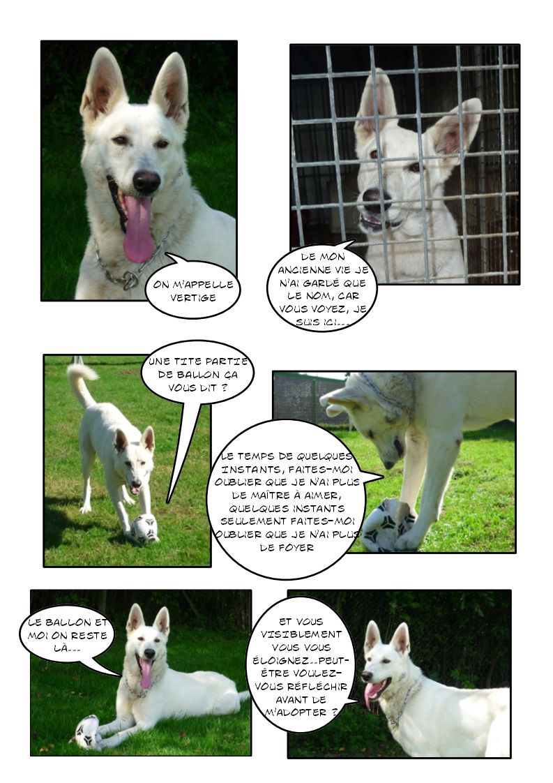 VERTIGE (Berger blanc suisse) Page_115