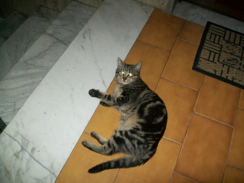 un grande amore Immagi48