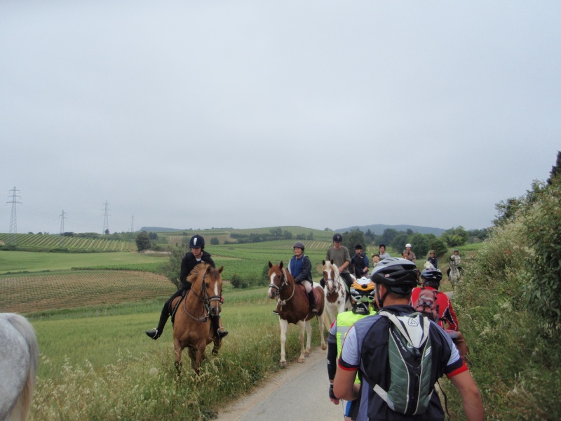 direction Leuc le 22 mai 2011 P5220021