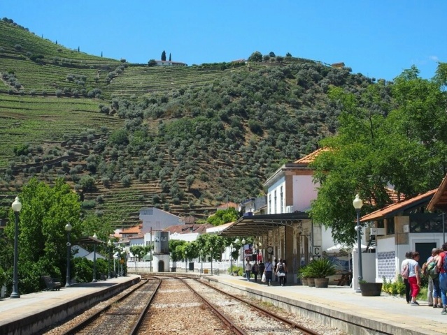 En train dans la Vallée du Douro Douro310